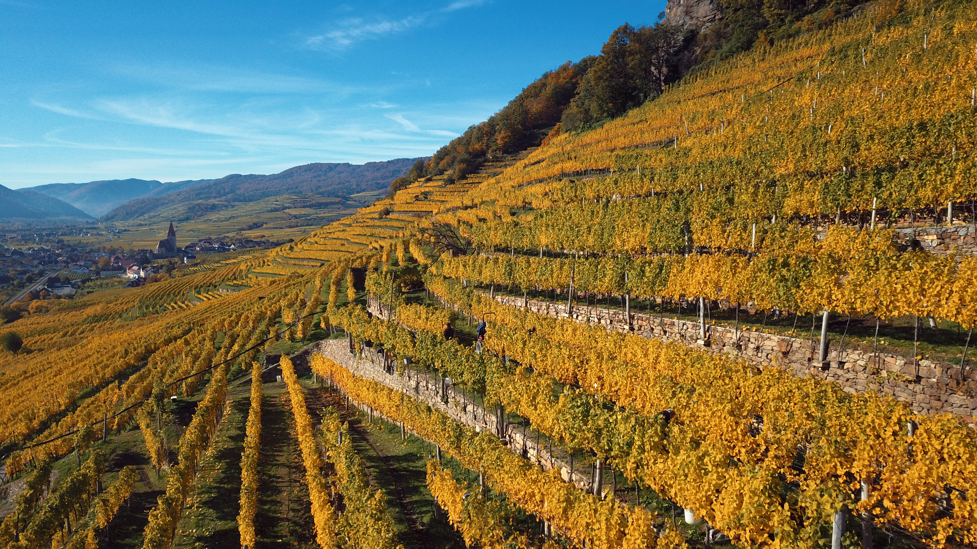 Vinea Wachau e-Label Header Fallback Image