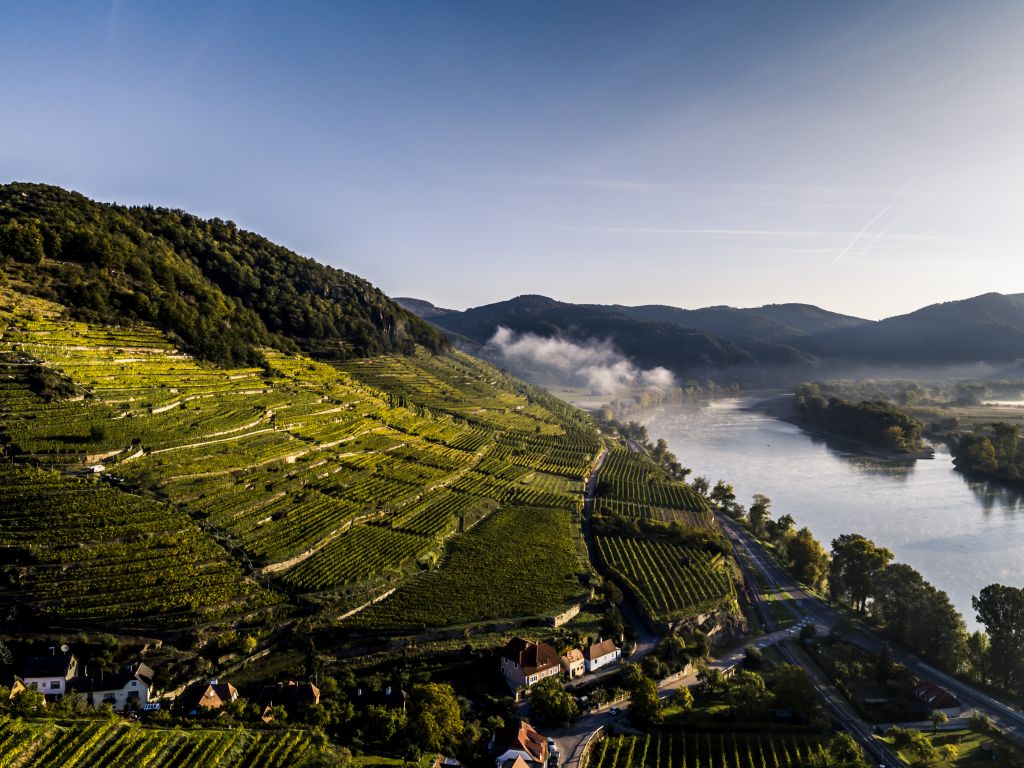 Vinea Wachau e-Label Header Fallback Image