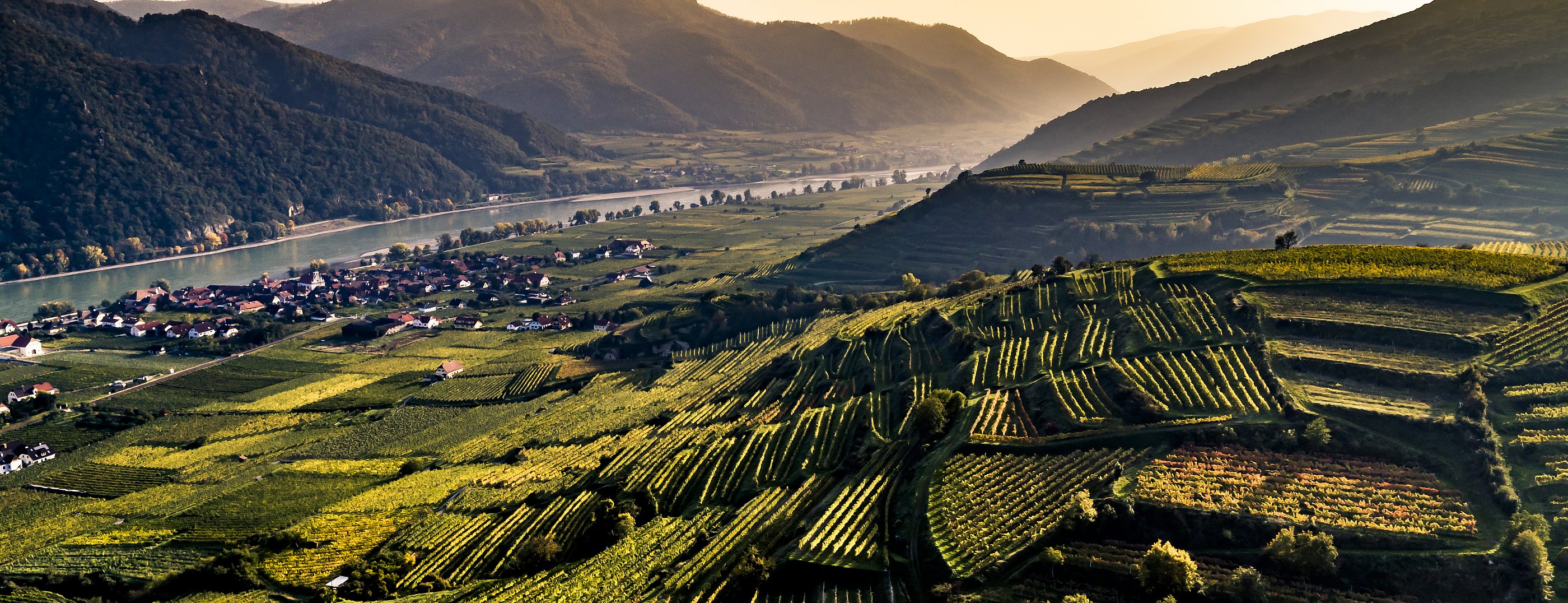 Vinea Wachau e-Label Header Fallback Image