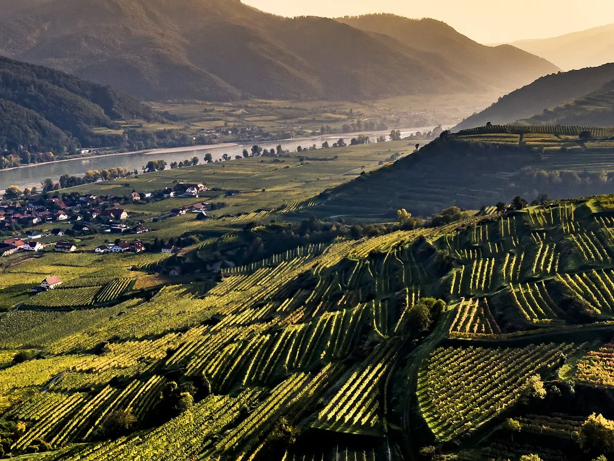 Vinea Wachau e-Label Header Fallback Image