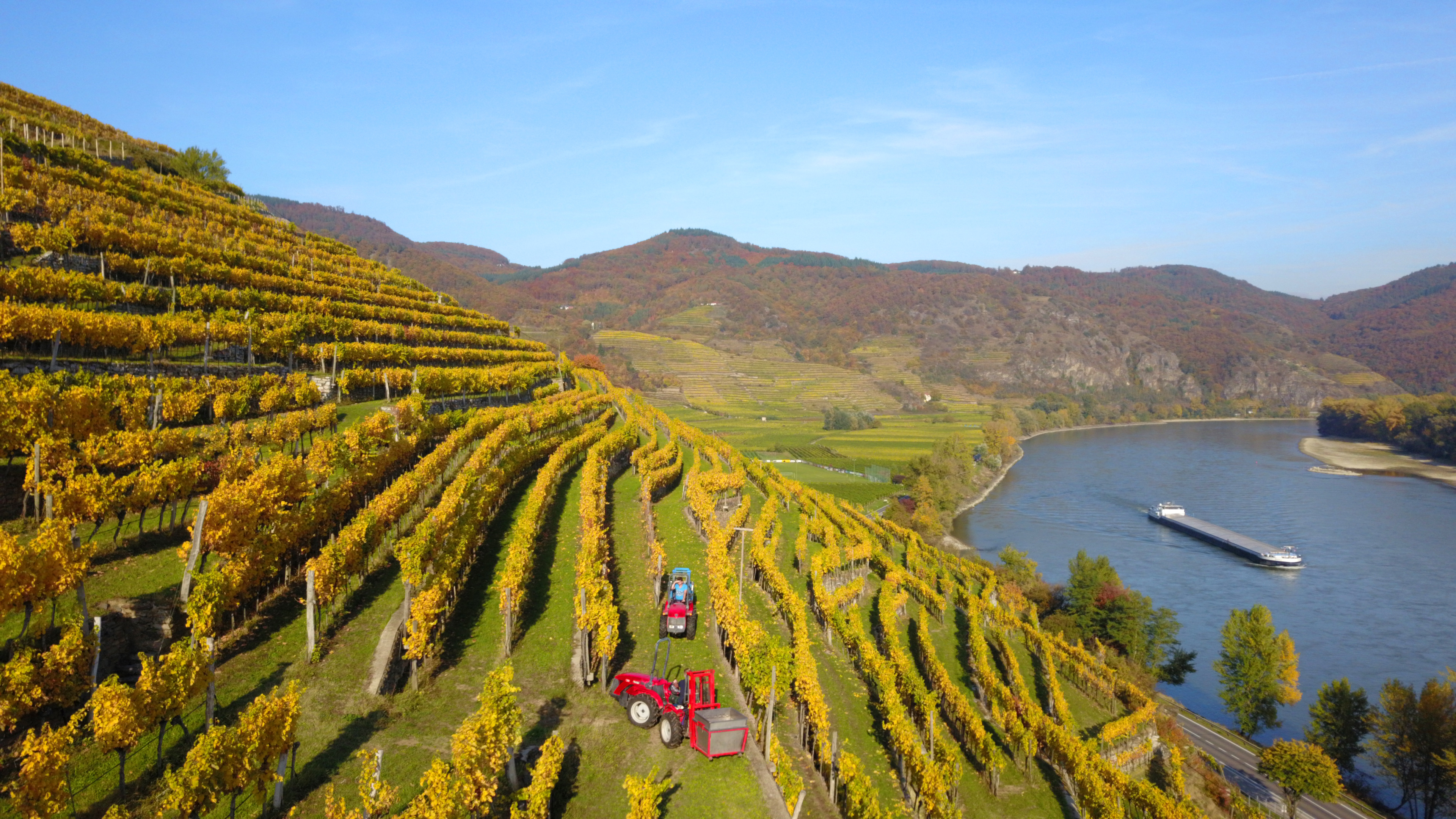 Vinea Wachau e-Label Header Fallback Image