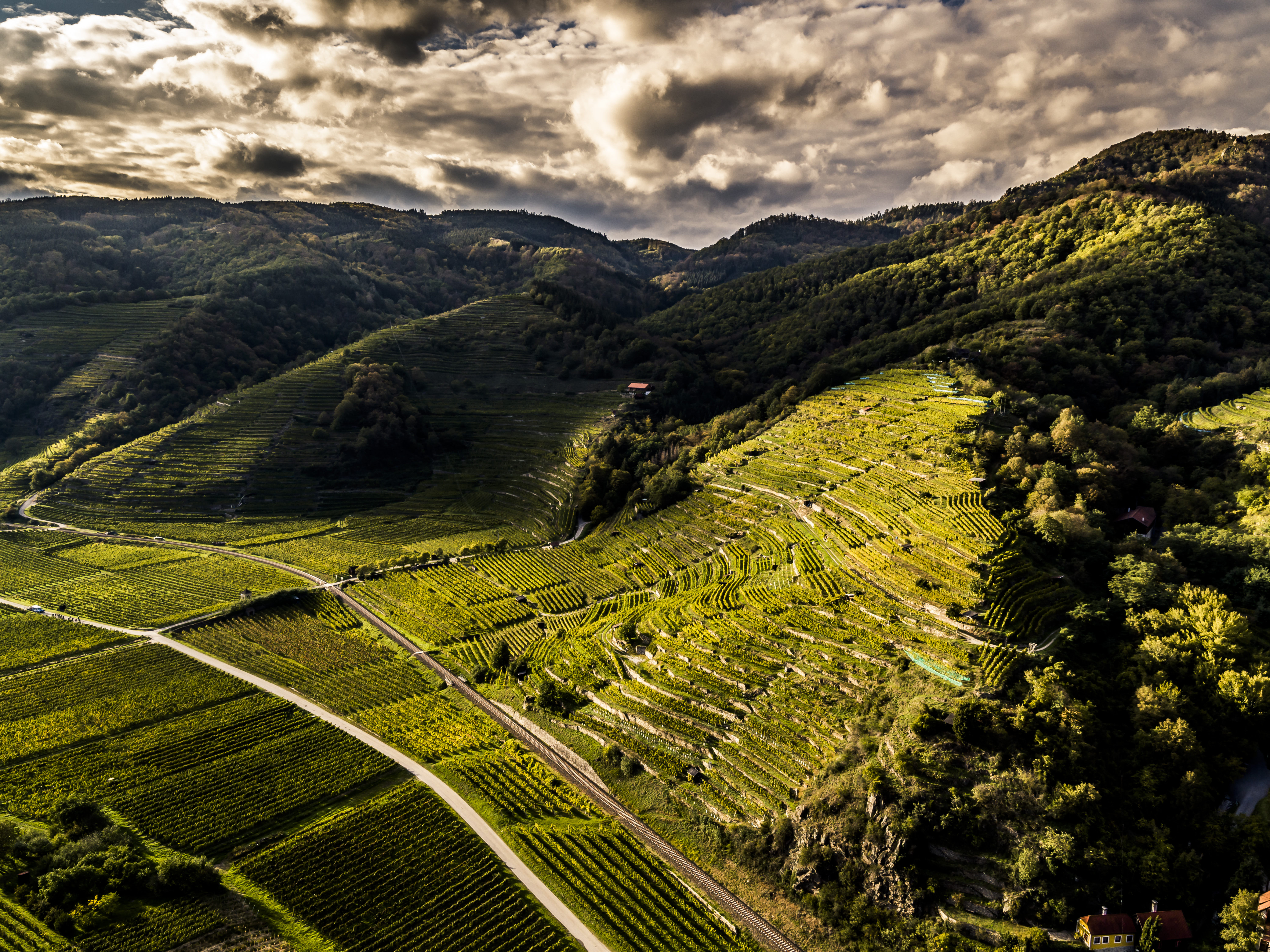 Vinea Wachau e-Label Header Fallback Image