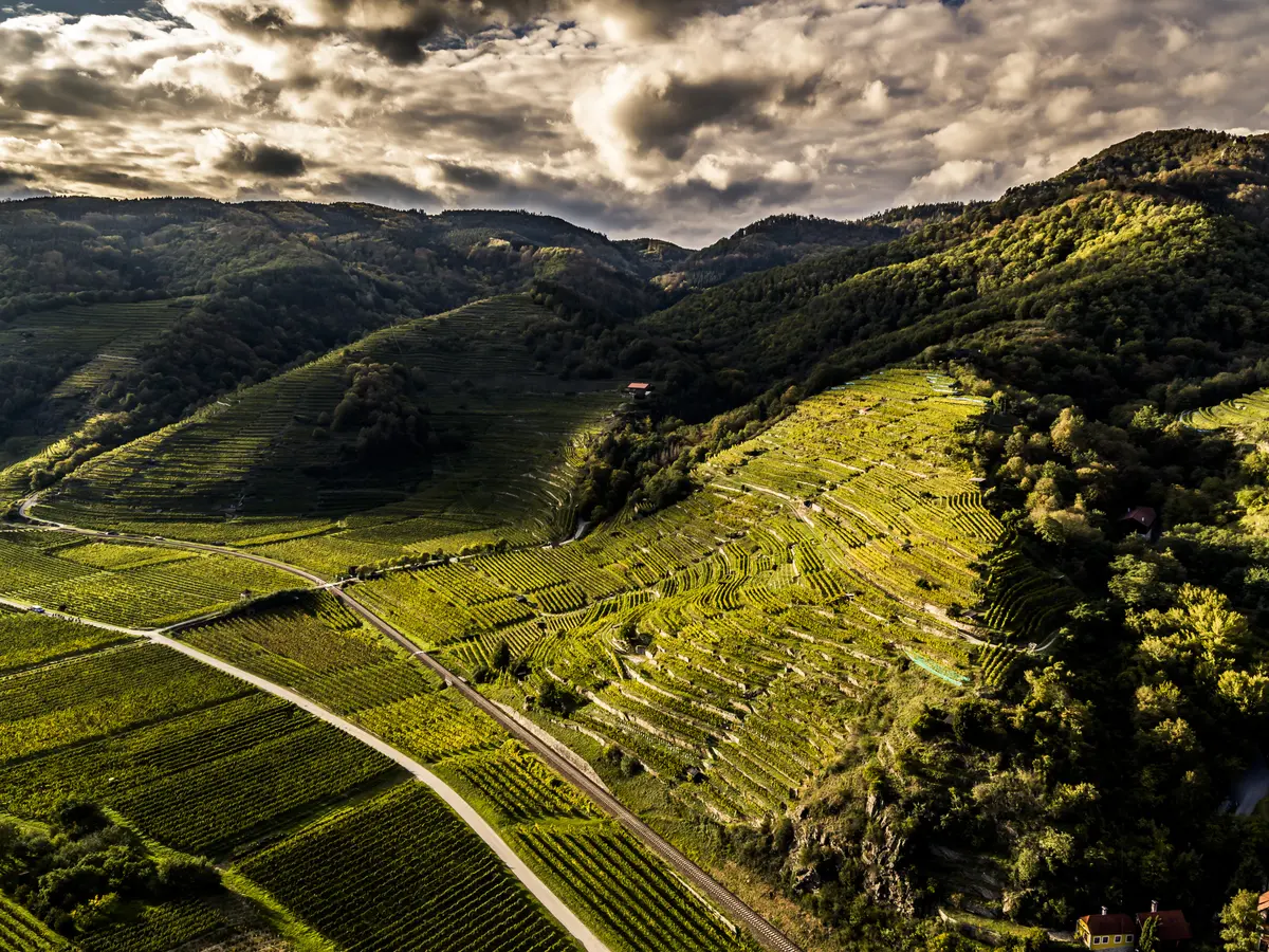 Vinea Wachau e-Label Header Fallback Image