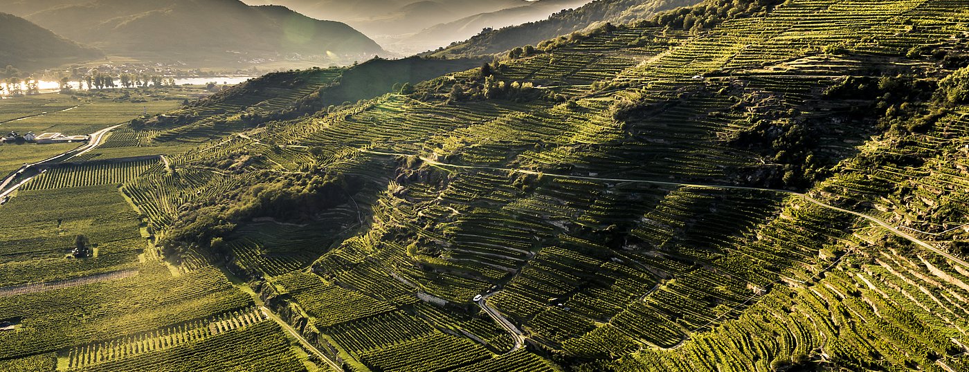 Vinea Wachau e-Label Header Fallback Image