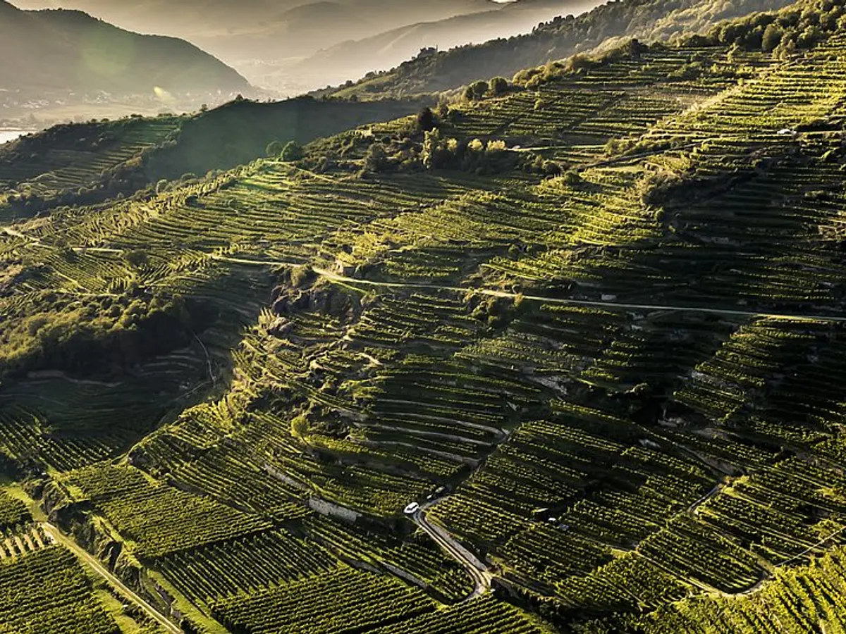 Vinea Wachau e-Label Header Fallback Image