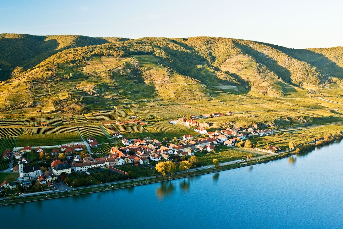 Vinea Wachau e-Label Header Fallback Image