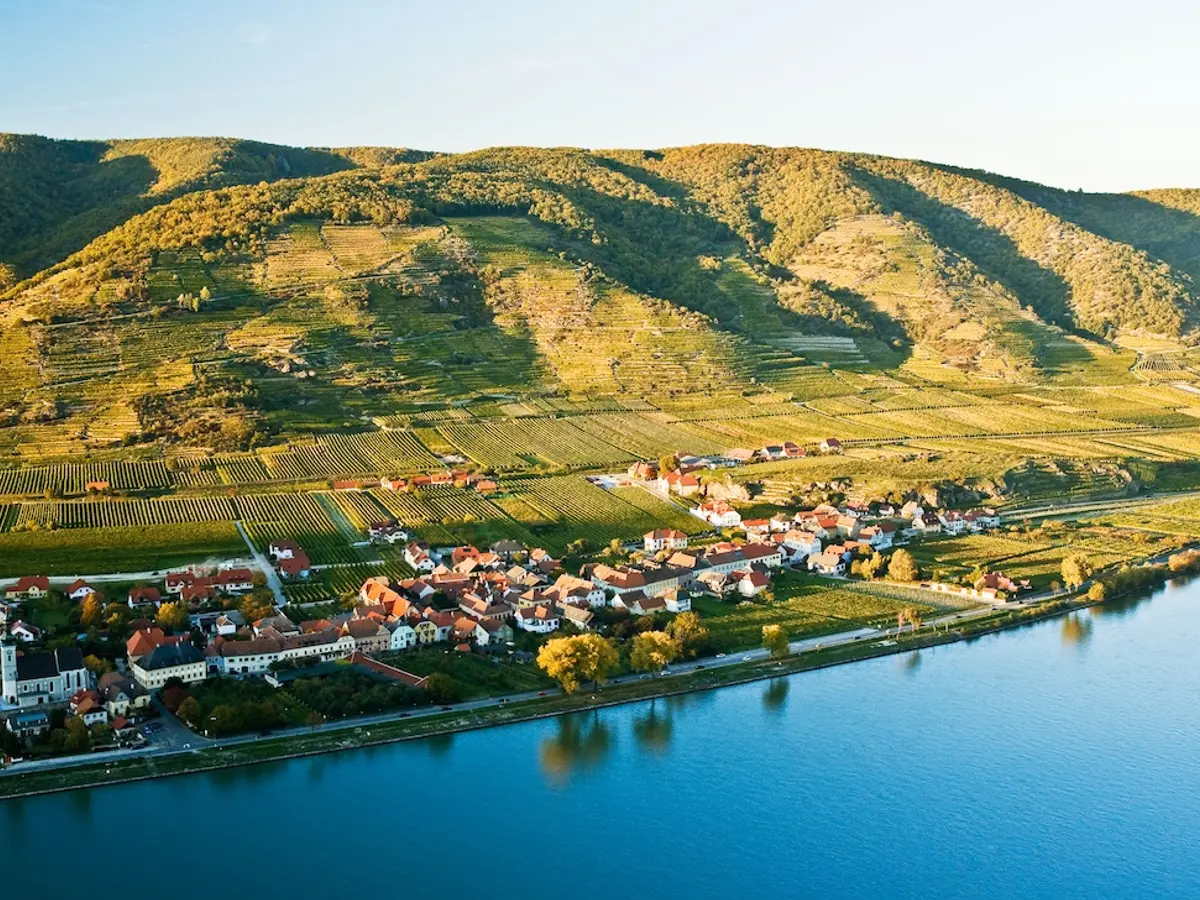 Vinea Wachau e-Label Header Fallback Image