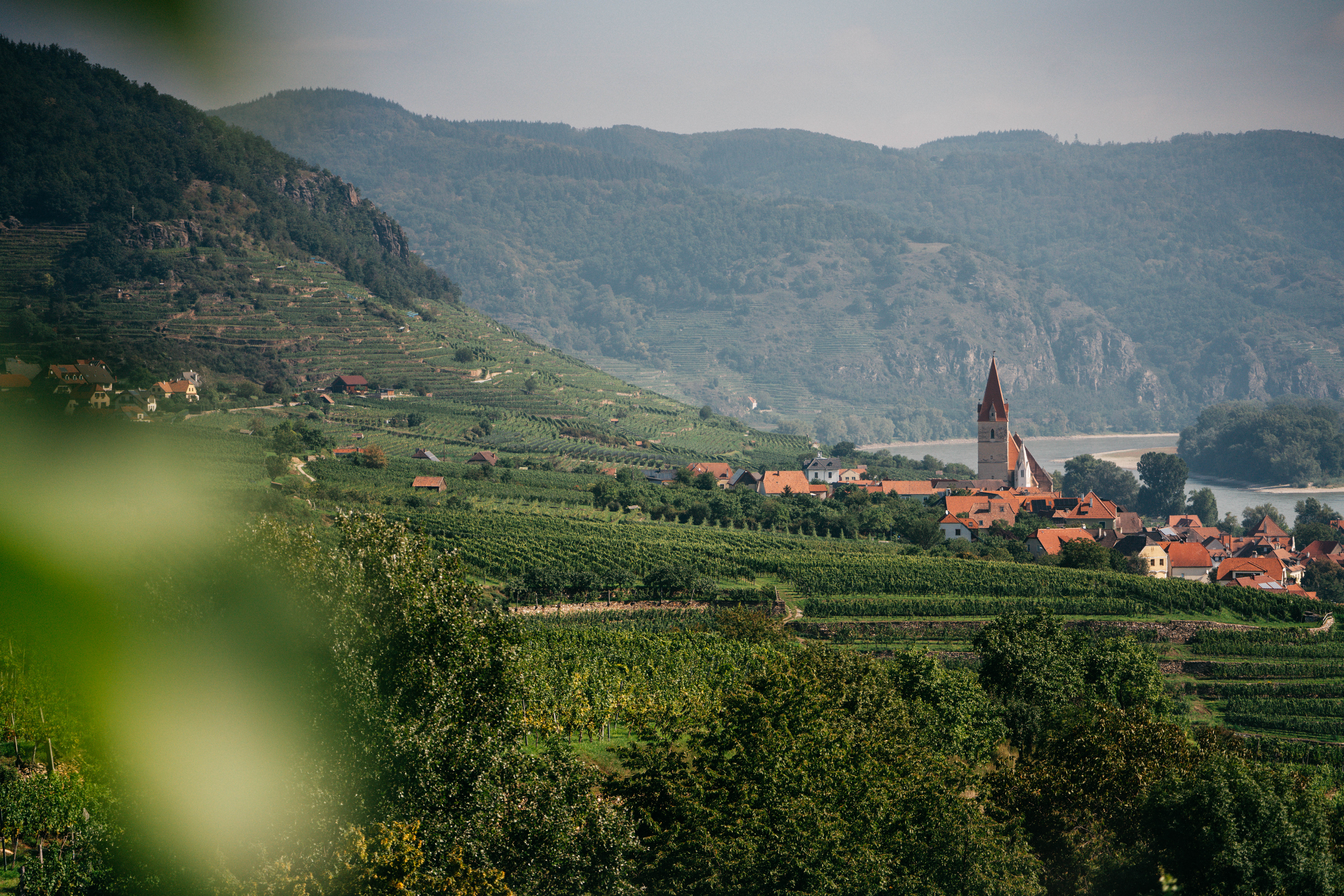 Vinea Wachau e-Label Header Fallback Image