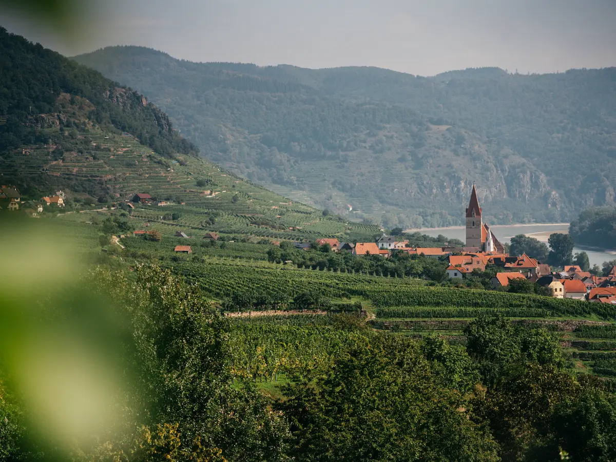 Vinea Wachau e-Label Header Fallback Image