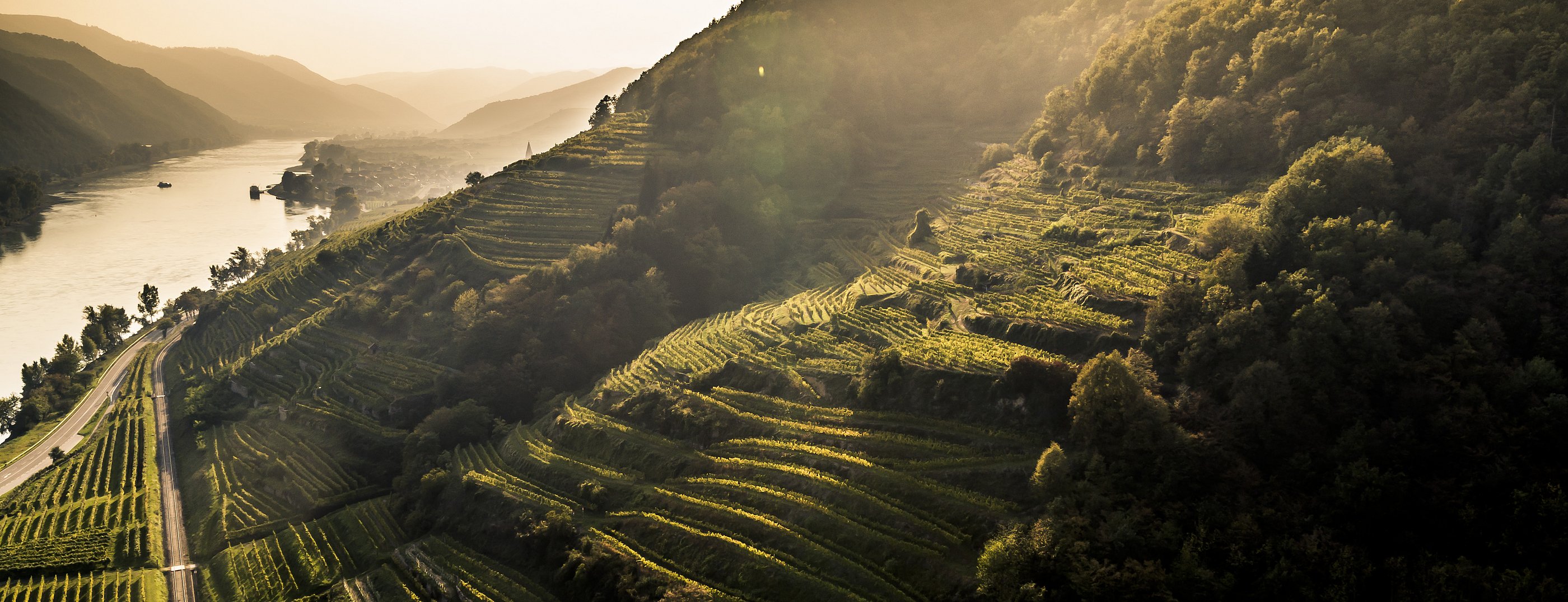Vinea Wachau e-Label Header Fallback Image